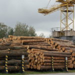 Оптимальні торги деревиною