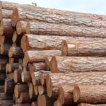 <strong>Купить древесину с промежуточного склада на онлайн-аукционе Прозоро</strong>