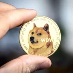Что думают экономисты о роли Dogecoin в мировой финансовой системе?
